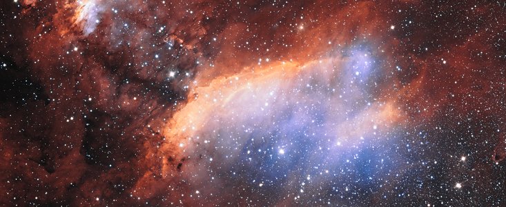 Detailed view of the Prawn Nebula from ESO's VST