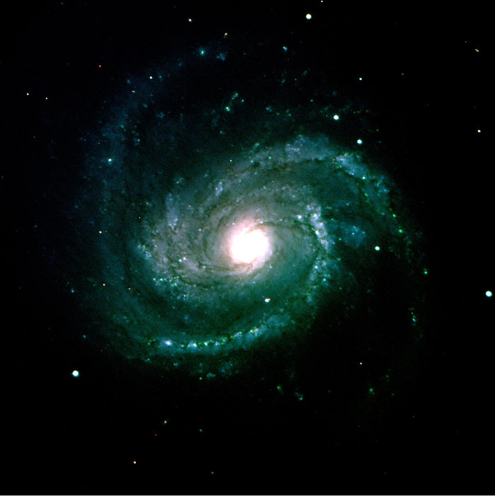 M100 / NGC 4321
