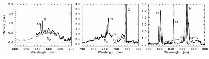 Details of the meteor spectrum (FORS1/VLT)