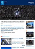 ESO Photo Release eso1430 - Wild Ducks Take Flight in Open Cluster