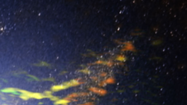 Panoramique sur la radiogalaxie Centaurus A, vue par ALMA